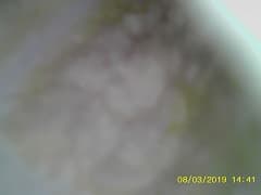現場対応の様子